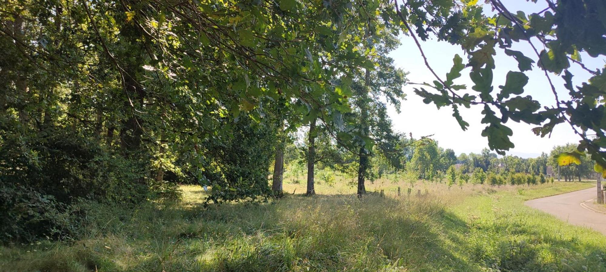 La Villa Ô bois - Maison en face de la forêt Séméac Extérieur photo
